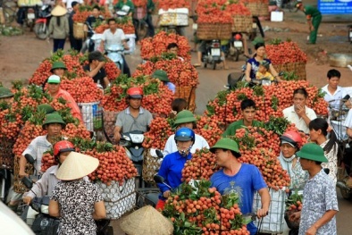 'Mấy đời Đăng ký và nhận 60K 24 bao lì xì miễn phí mỗi ngày tôi làm Đăng ký và nhận 60K 24 bao lì xì miễn phí mỗi ngày đều vất vả'